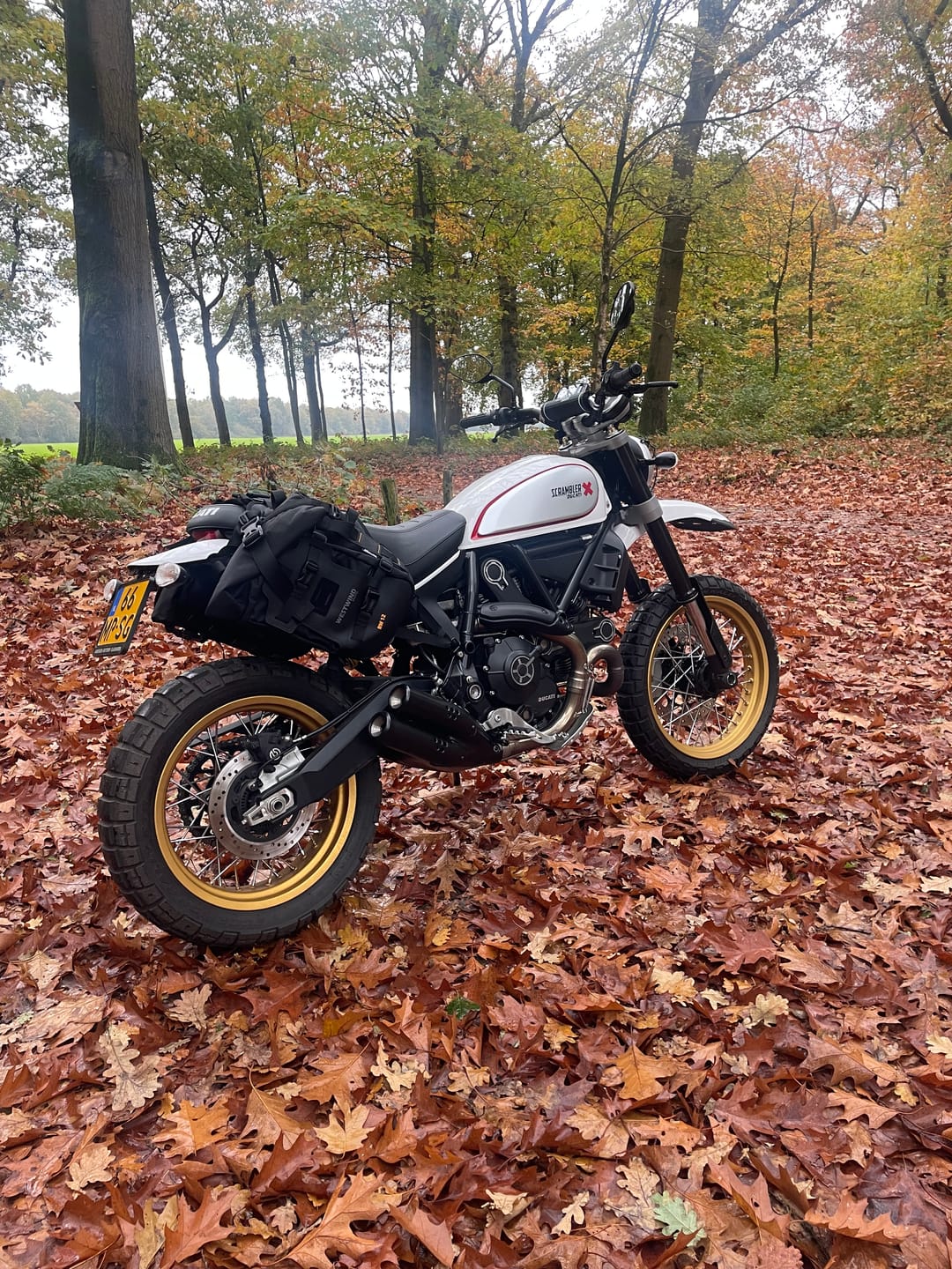 Customer photo review of Ranger Wilds - Enduro 24 set (with base)