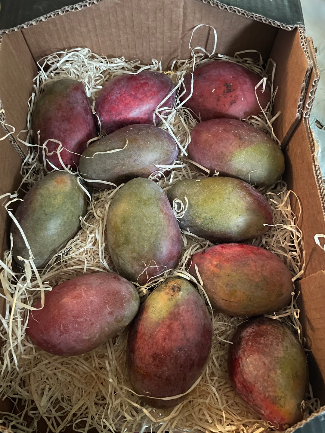 Customer photo review of Mango Osteen Bio von Julian Sonderaktion %