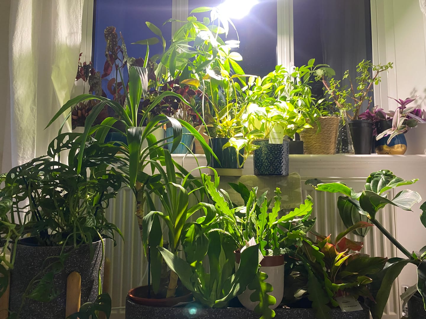 Customer photo review of Stelo Gooseneck Clip-On Bulb Holder