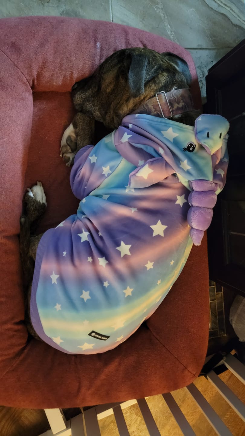 Customer photo review of Halloween Dog Hoodies (Limited Edition)