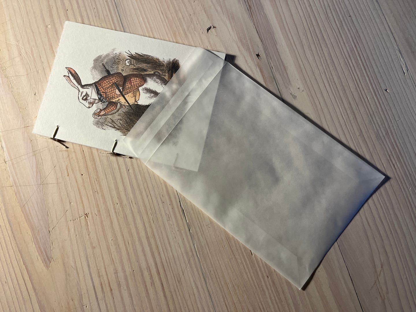 Customer photo review of Rectangle Glassine Envelopes