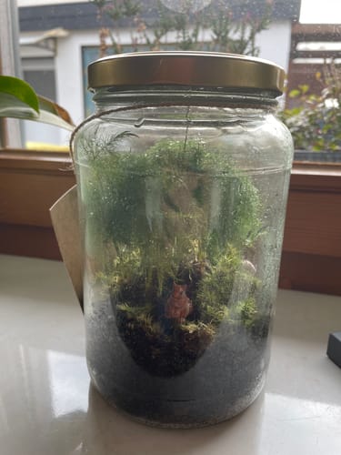 Customer photo review of Lieferung zum Wunschtermin