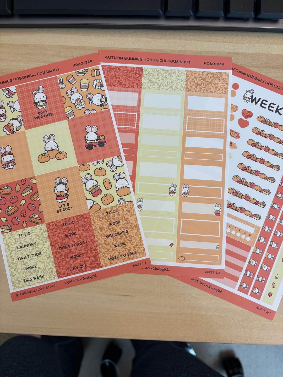 Customer photo review of Autumn Bunnies Theme Hobonichi Cousin Weekly Kit (Set of 3)