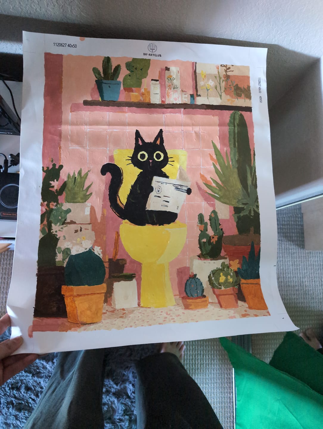 Customer photo review of The black cat on the toilet | Paint by Number