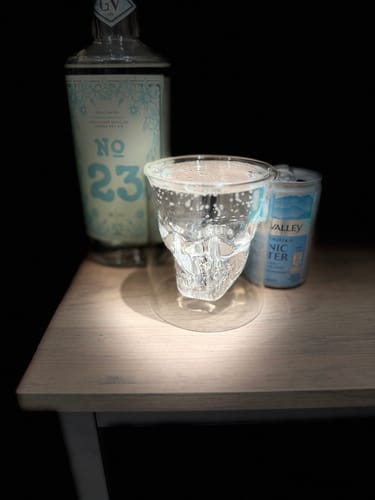 Customer photo review of GV GIN