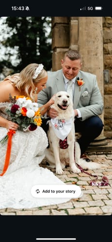 Kirsty review of Tough Trails™ Harness - Mable's Meadow image 1 out of 1