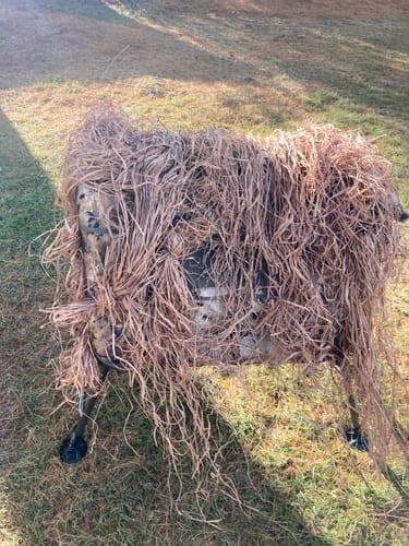 Customer photo review of Hunting Blind Raffia Grass (Individual)