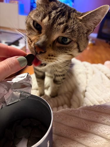 Customer photo review of Patsli Move