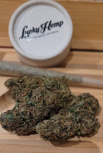 Customer photo review of Amnesia Cheese Ökopack