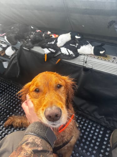 Customer photo review of XCOR