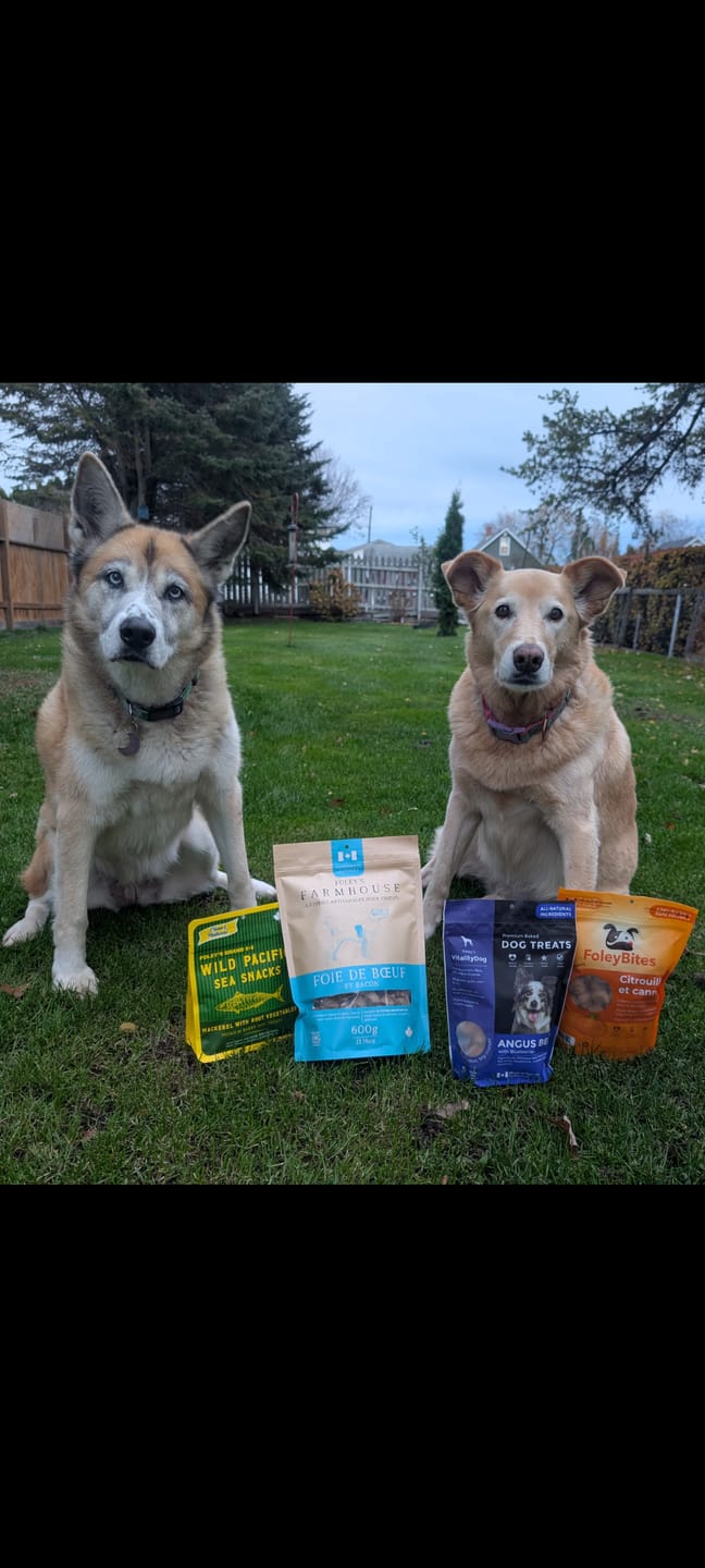 Customer photo review of Foley 5 Pack Mixed Bundle + 1 Free Bag of Rogan Paints