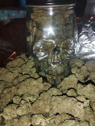 Customer photo review of Gorilla Glue THCA Flower