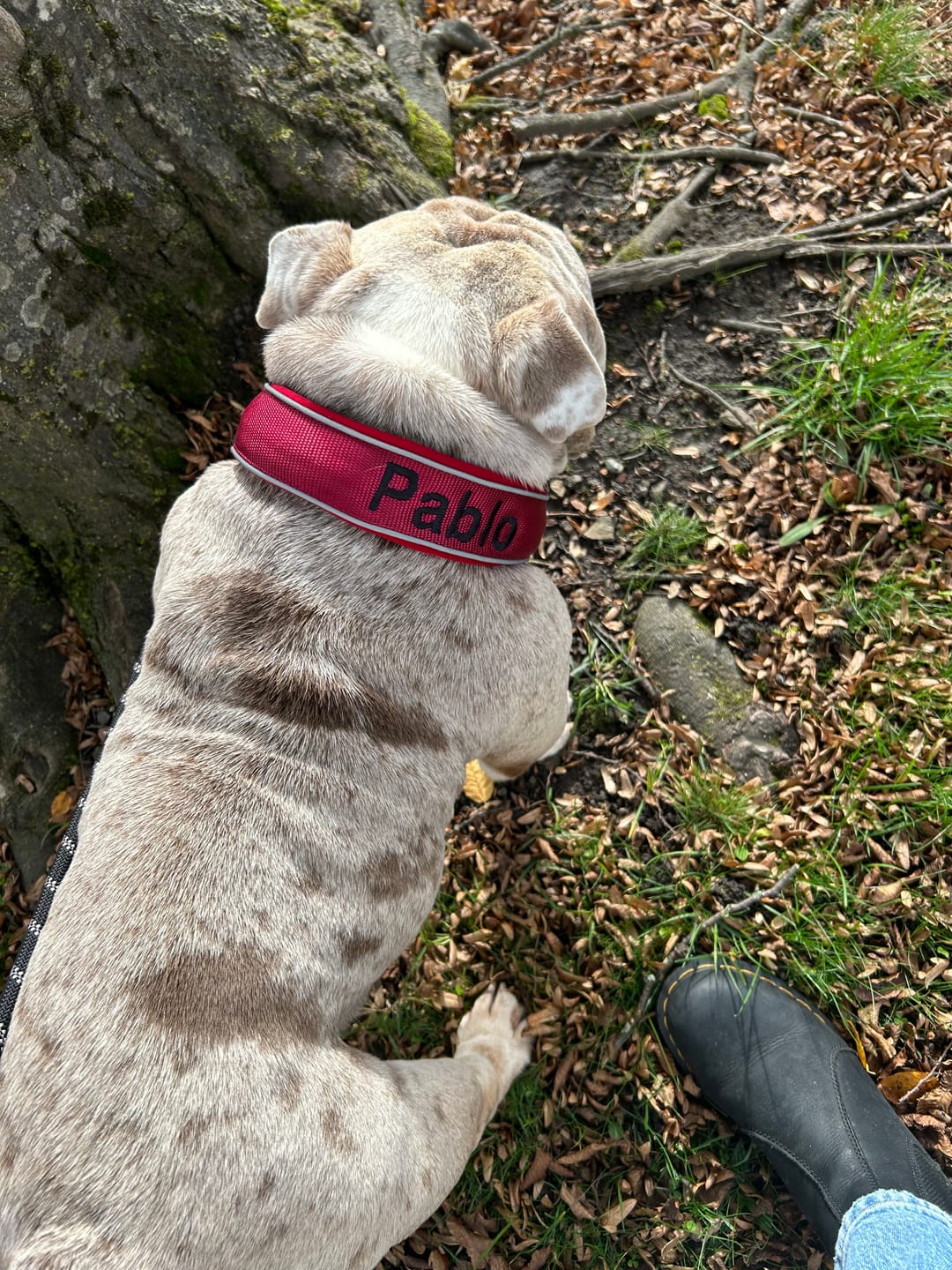 Customer photo review of Free Personalisation