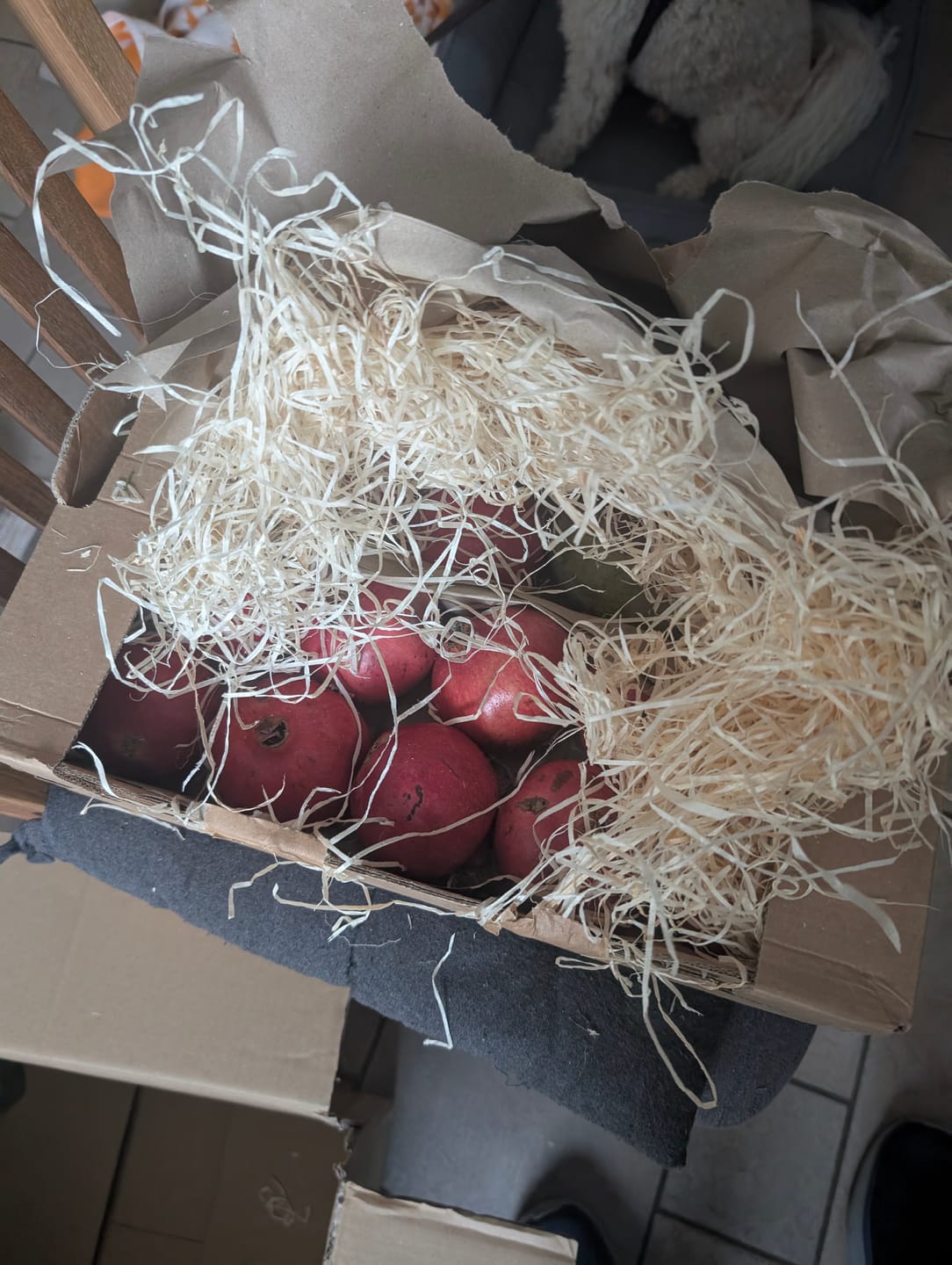 Customer photo review of Mango & Granatapfel Retterbox %