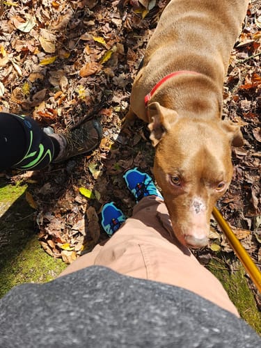 Customer photo review of Ortho Balance - Orthopedic Pain-Relieving Walking shoes