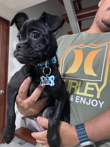 Customer photo review of Placa: Rombos