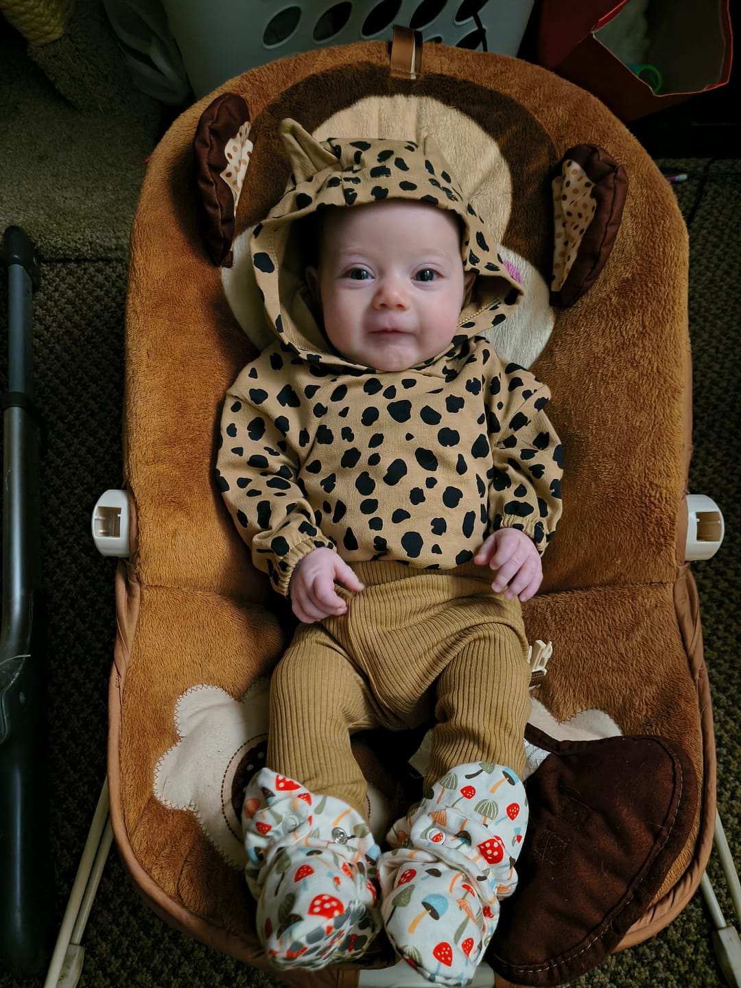 Customer photo review of Mushrooms Organic Cotton Gripper Baby Bootie