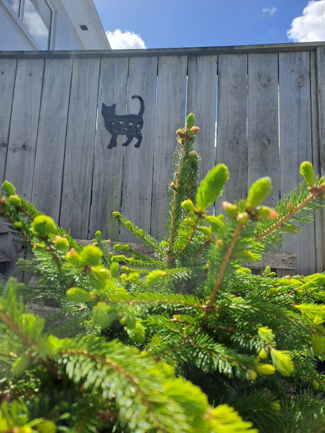 Customer photo review of Floral Cat Wall Art
