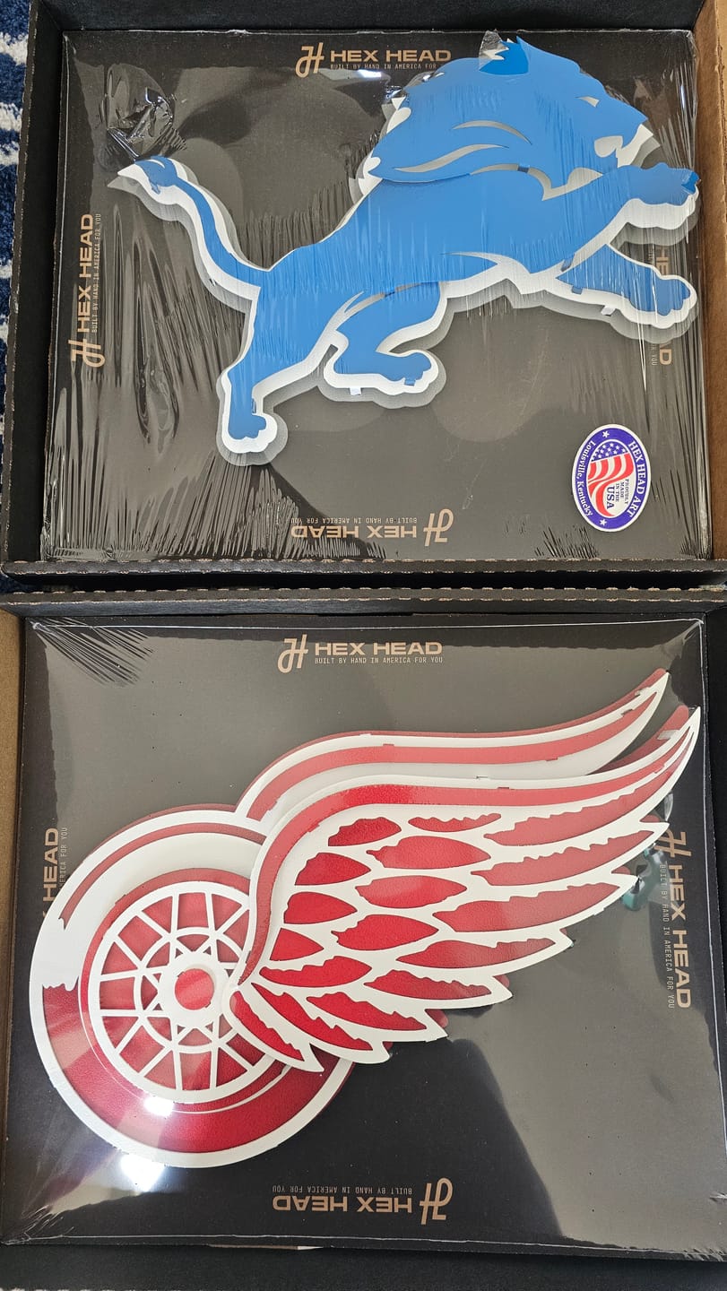 Customer photo review of Detroit Lions 3D Vintage Metal Wall Art