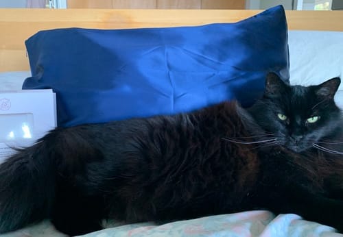 Customer photo review of Navy Blue Silk Pillowcase - Queen Size, Zip Closure