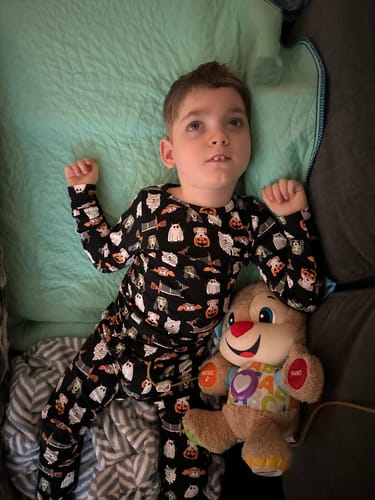 Customer photo review of Classic Set - SPOOKY DOGS