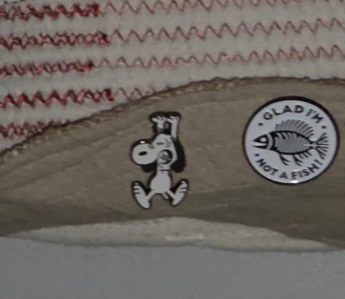 Customer photo review of Snoopy F-Off Brooch