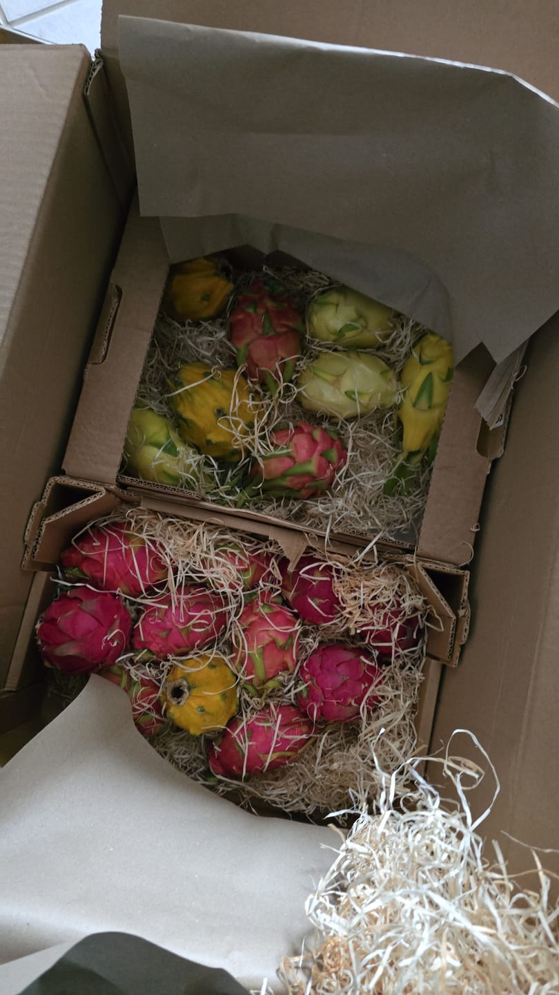 Customer photo review of Baby-Mango Kent von Julian Sonderaktion %