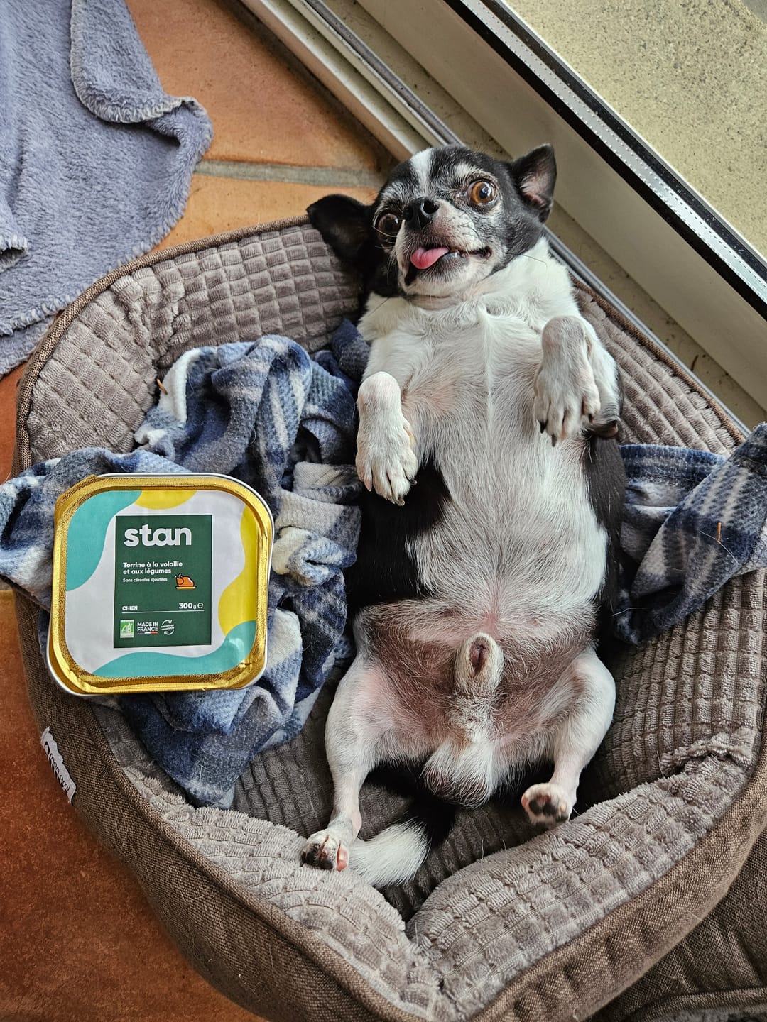 Customer photo review of Pâtées Bio Chien - Volaille & Légumes (x9)