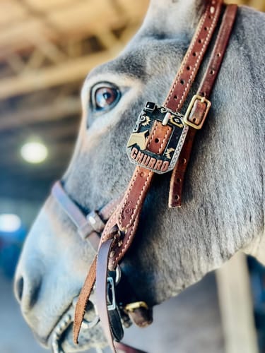 Customer photo review of Black Aztec Oiled Leather Headstall