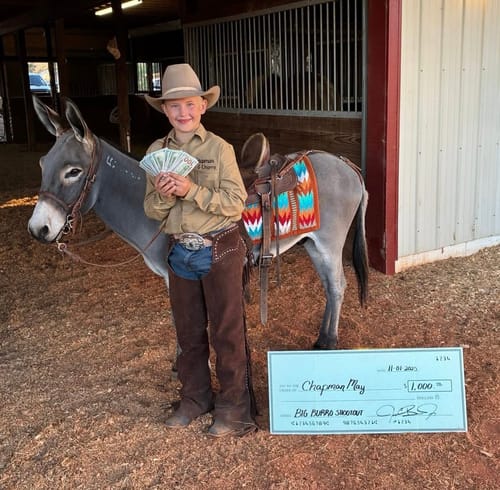 Customer photo review of Black Aztec Oiled Leather Headstall