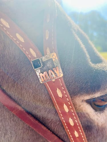 Customer photo review of Black Aztec Oiled Leather Headstall