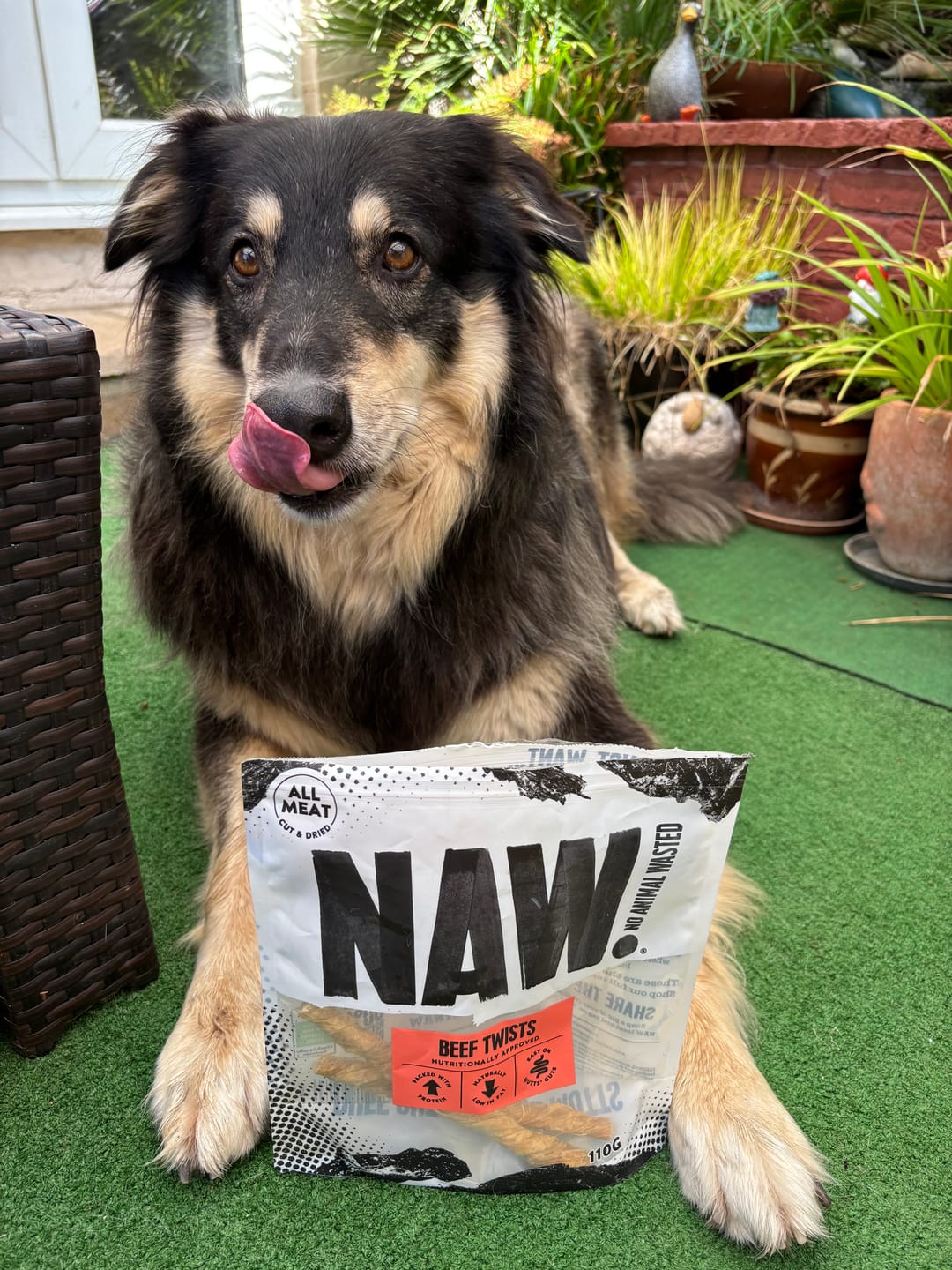 Customer photo review of Beef Bladder Twists (110g)