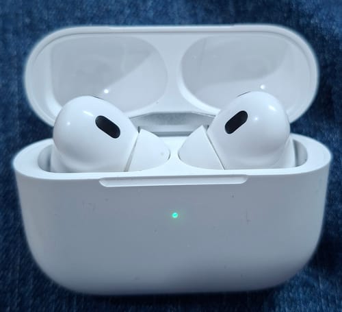 Customer photo review of LOT Earbuds - Random Color