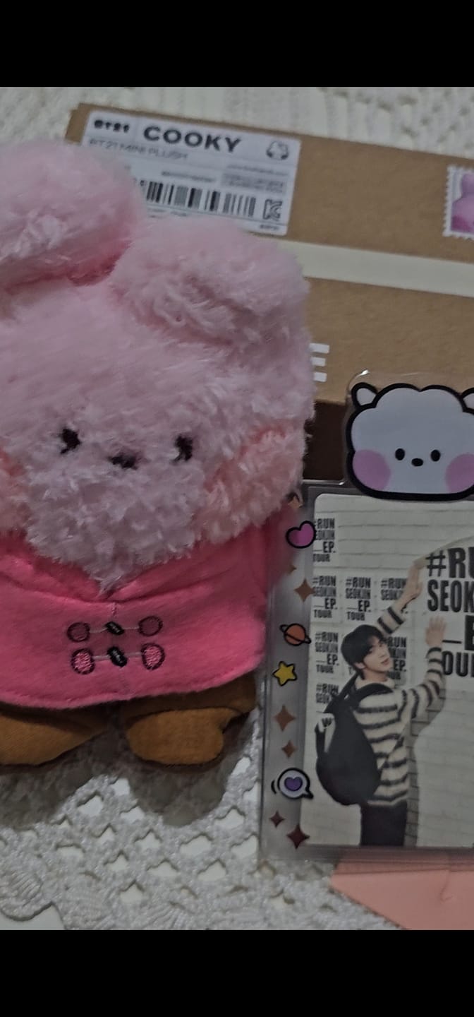 Customer photo review of BT21 - BOOTS EDITION MININI DOLL