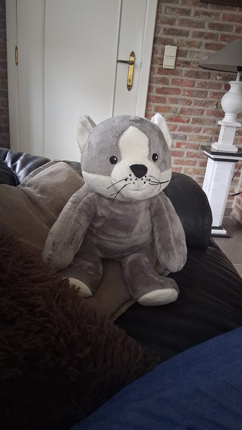 Customer photo review of Kleding Lotgenootje Kat