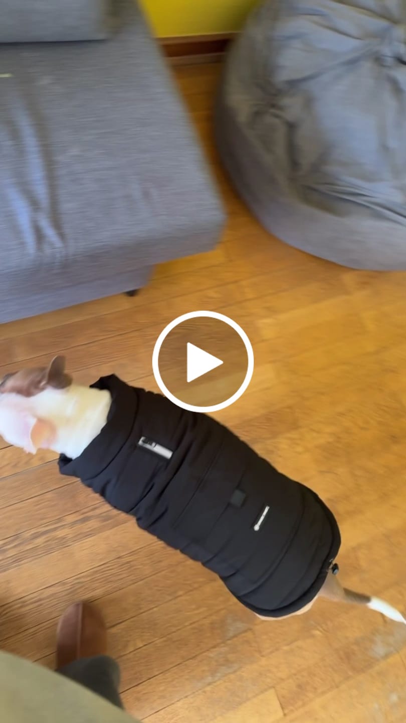 Customer video review of WarmShield Water-Resistant Jacket - Black