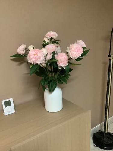 Customer photo review of Pivoines - Rose (6 tiges / 18 têtes de fleurs)