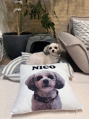 Customer photo review of Petcanva©オーダーメイド ペット似顔絵