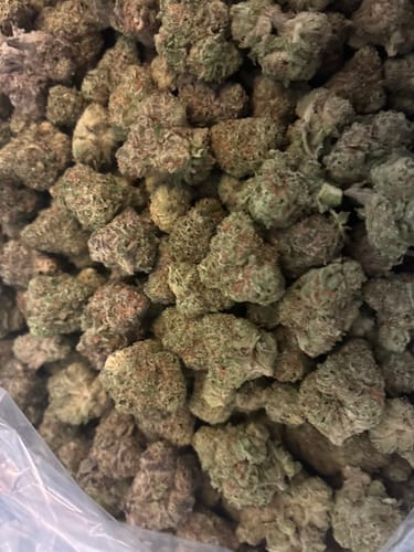 Customer photo review of Shipping Protection by Route