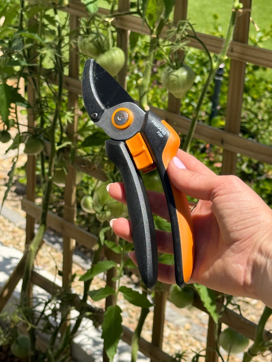 Customer photo review of Solid™ Anvil Pruner L (P361)