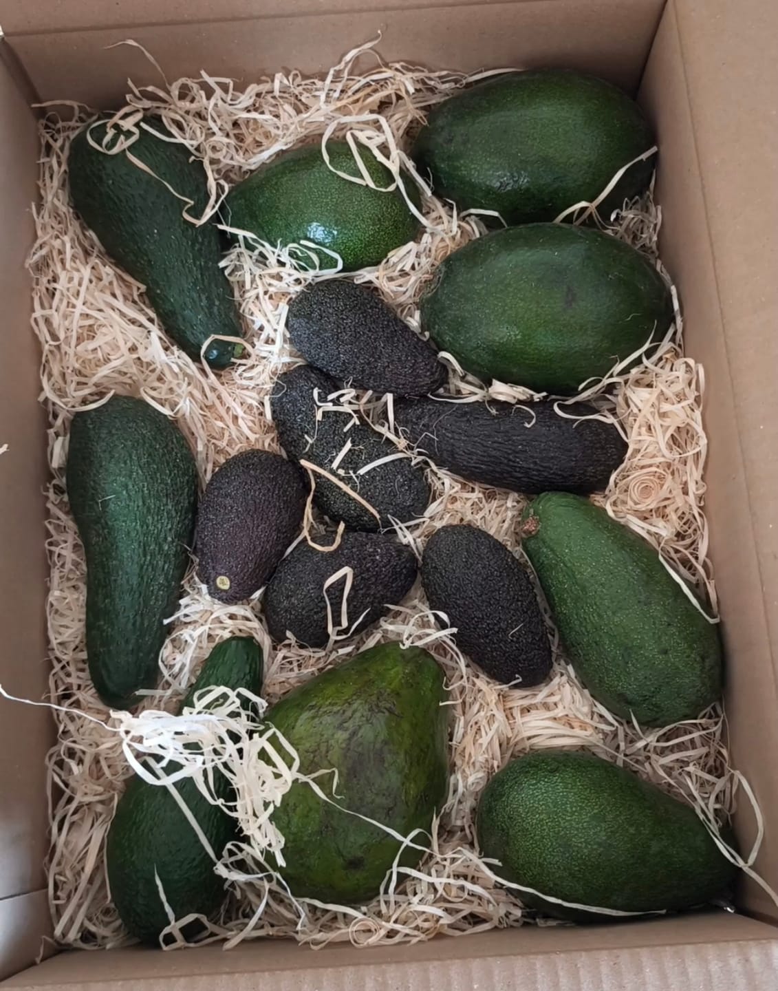 Customer photo review of Avocado-Mix von Julian Wochenaktion % 3kg