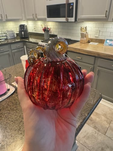 Customer photo review of Mini Pumpkin, Garnet