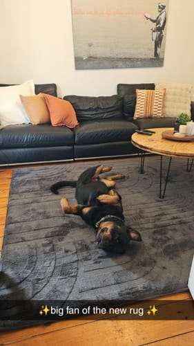 Customer photo review of The Mellow Mat® Cloud Haven 3D (Soft Touch Sensory Tatami Rug)