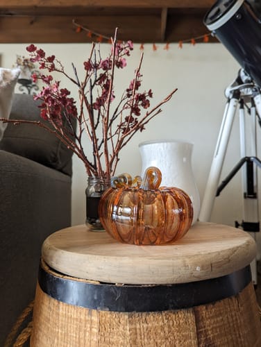 Customer photo review of The Harvest Pumpkin