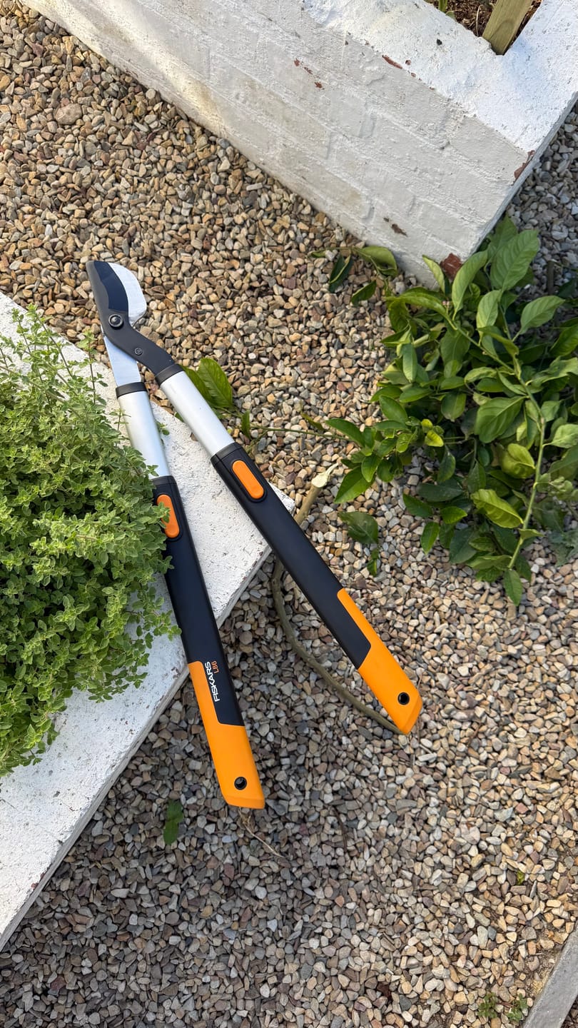Customer photo review of SmartFit™ Telescopic Bypass Lopper (L86)