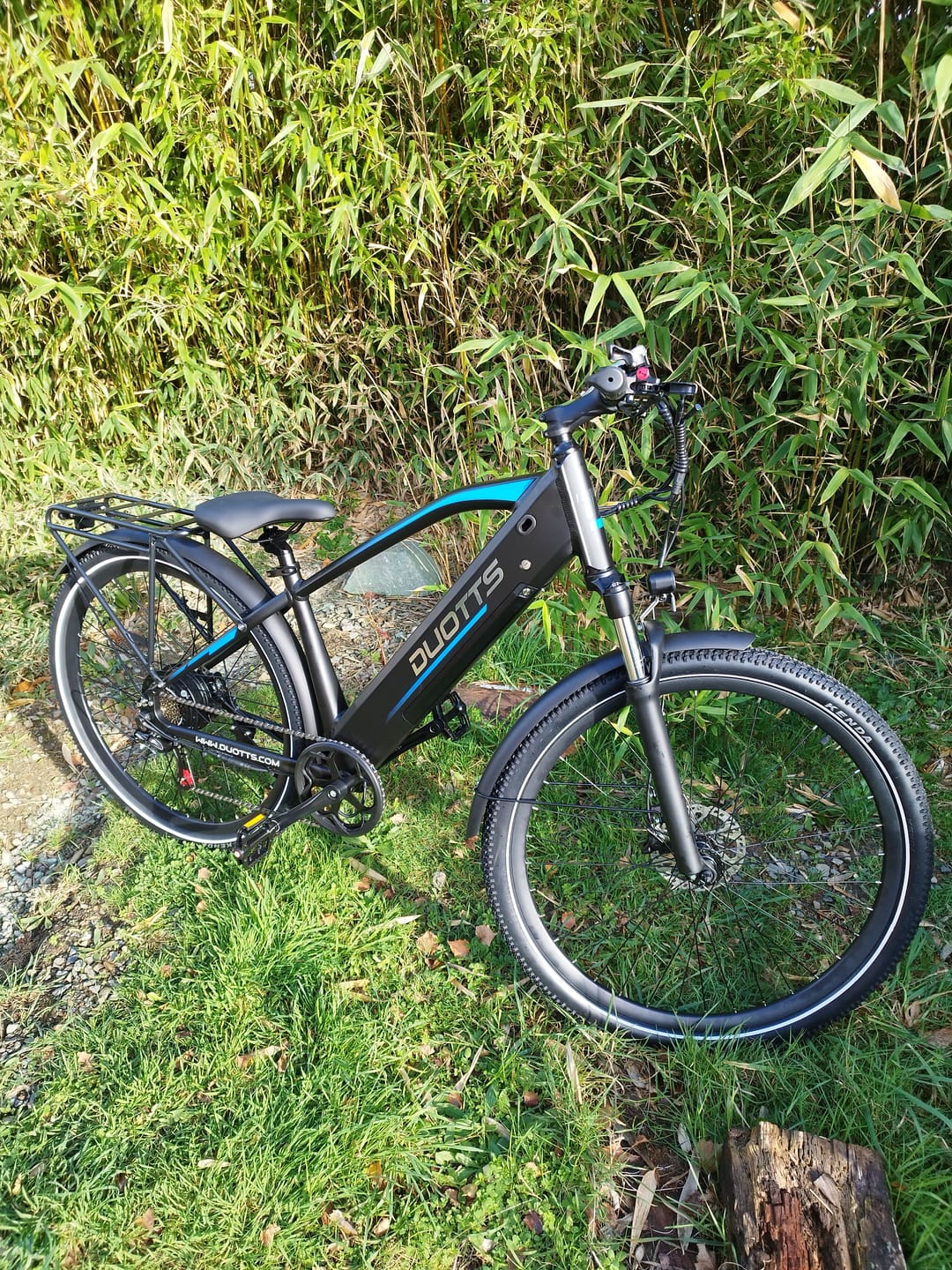 Customer photo review of DUOTTS C29Max Electric Bike