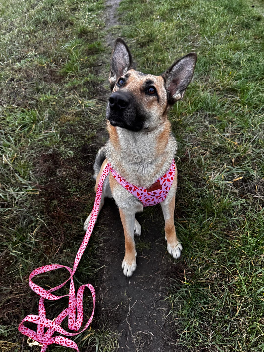 Customer photo review of Smycz przepinana "Pink Terrazzo" - złote okucia