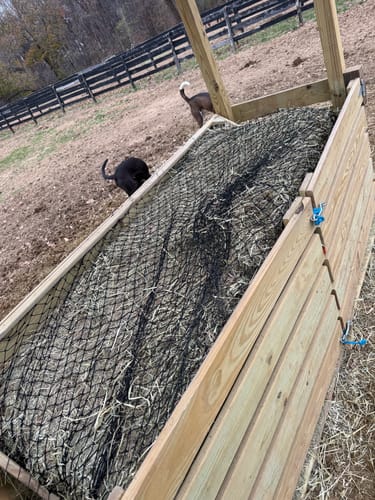 Customer photo review of Hay Chix® Do It Yourself Net