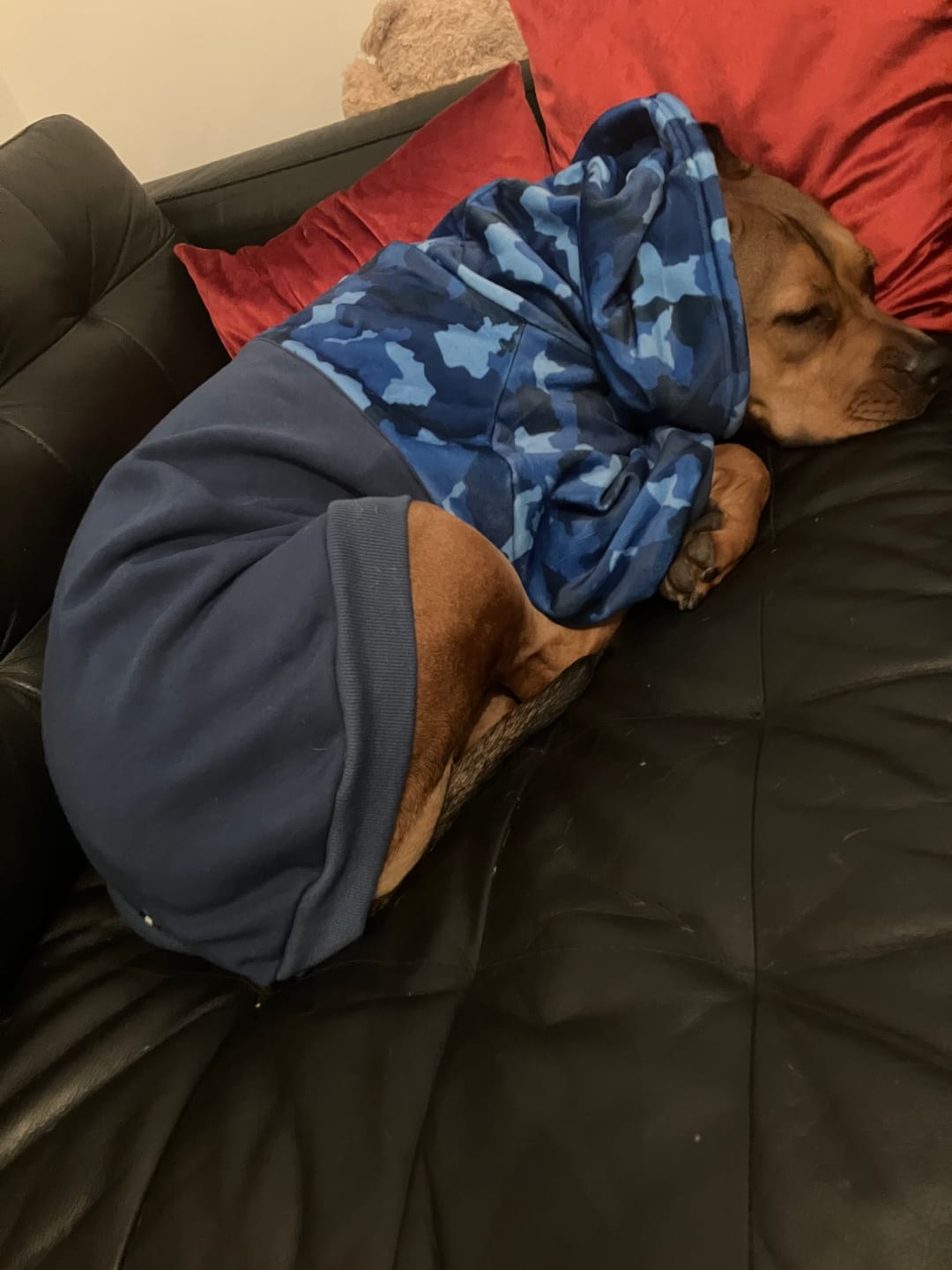 Customer photo review of Blue Camo Human Hoodie