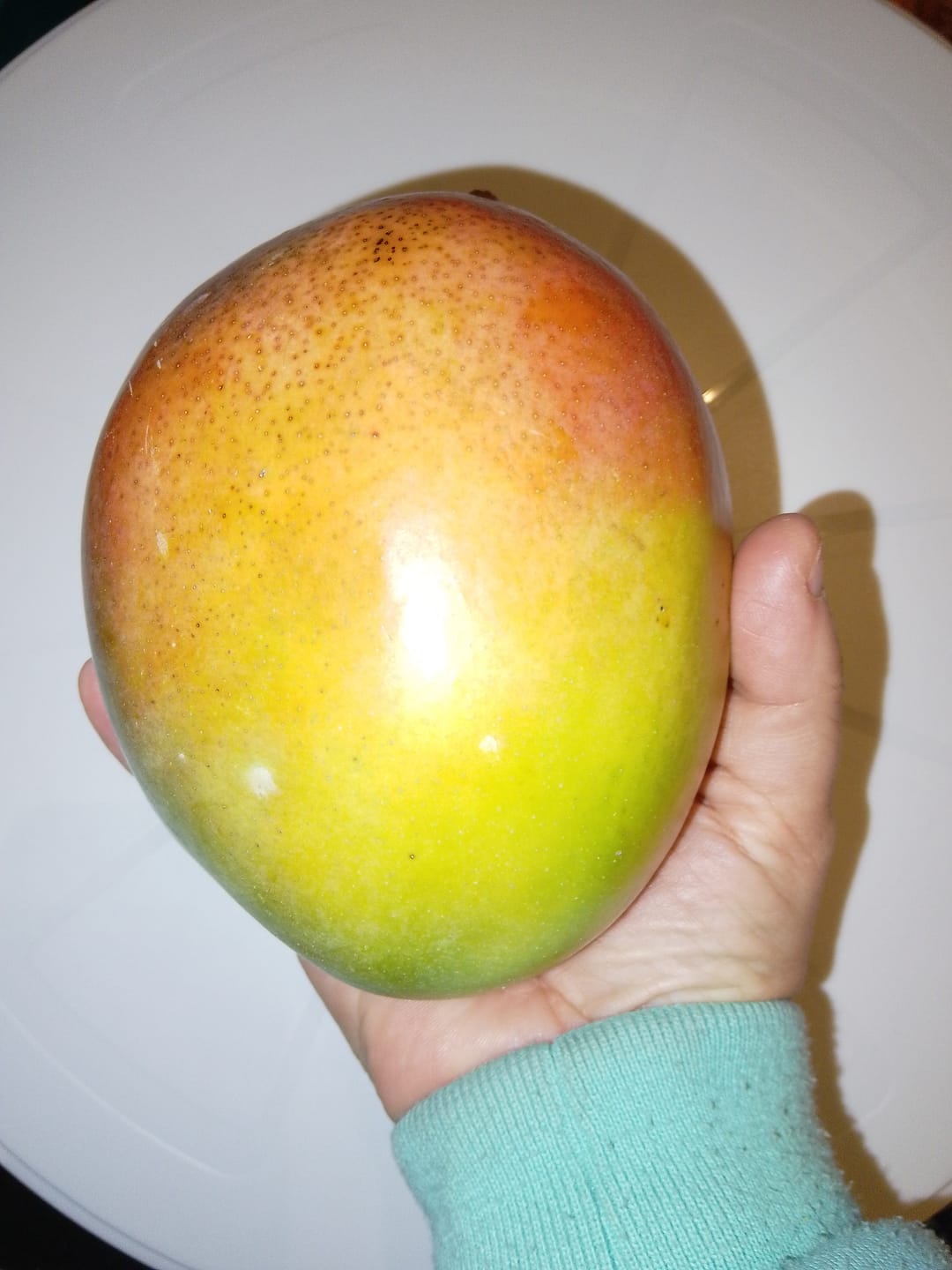 Customer photo review of Mini-Mango Keitt Bio Sonderpreis %